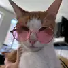 JonDavid300 - @.jondavid300 - TikTok