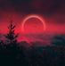 Jon Davids - Facebook