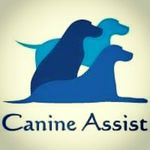 Jon Davison - @canineassist - Instagram