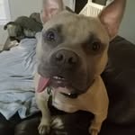 Jon Dawkins - @jonn_yd65 - Instagram