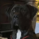 Jon Day - @jonrday1971 - Instagram