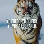 Jon Delgado - @jon.delgado.543 - Instagram