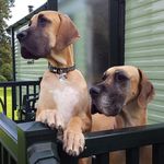 John Denham - @john.denham.1466 - Instagram