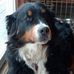 Jon Dent - Facebook