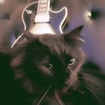 Jon Dent - @jondent_va - Instagram