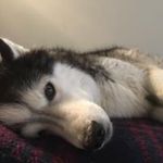 Jon DeWitt - @jadnj2000 - Instagram