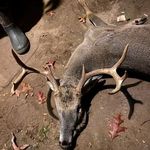 John Dover - @dover__john - Instagram
