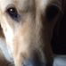 Jon Drennan - Facebook
