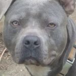 Jonathan Drennan - @jonathan.drennan.37 - Instagram