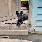 Jon Dube - Facebook