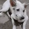 Jon Emanuel - @jon.emanuel - TikTok