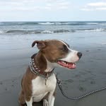 Jon Etheridge - @ybegood2day - Instagram