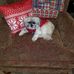 Jon Everson - Facebook