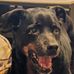 Jon Fehr - Facebook