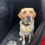 Jon Fehr - @jon.fehr.37 - Instagram