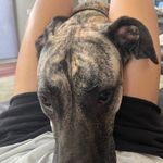 Jonah Feinstein - @feinsteinjonah - Instagram