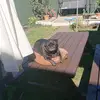 John Findlay - @john.findlay6 - TikTok