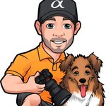 John Findlay Images - @dogsofbristolpa - Instagram