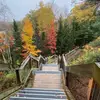 Jon Findlay - @organicfarmerjon - TikTok