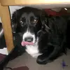 fleury-jonnathan - @fleury-jonnathan - TikTok