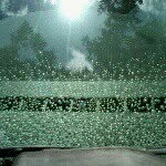 John Forrester - @autoglassrescue - Instagram