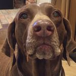 John Fuqua - @cazador_1971 - Instagram