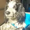 Jon Fuqua - @jonfuqua342 - TikTok