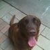 Jon Fuquay - Facebook