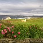 John Gilliland - @john.gilliland.355 - Instagram