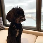 Jon Gilliland - @chulhonasiko - Instagram