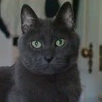 John Giordano - @john.giordano.737 - Instagram