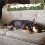 Jon godwin - @jongodwin9 - Instagram