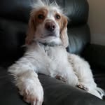Jon Goldsmith - @jammysdad - Instagram