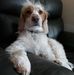 Jon Goldsmith - Facebook