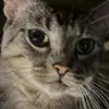 Jon Gonzalez159 - @jongonzalez31 - TikTok
