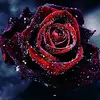 Jon Gonzalez - @persona2029 - TikTok