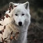 Jon Graf - @jon.graf.3 - Instagram