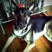 Jon Granger - Facebook