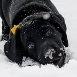 John Greathouse - @greathouse5440 - Instagram