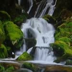 John Greathouse - @greathouse.john - Instagram