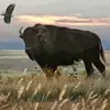 jon green - @jon.green86 - TikTok