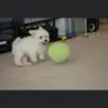 Jon - @jon_green088 - TikTok