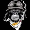 Jon Greene - @johngreene77 - TikTok