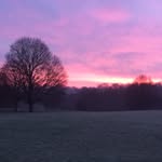 Jon Greenway - @johngreenoap - Instagram
