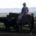 Jon Griggs - @cowjon - Instagram