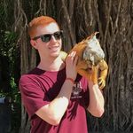 Jon Gross - @jonsgross - Instagram