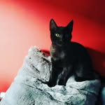 Jon Gutierrez - @jontxuguti - Instagram