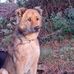 Jonayd Haydar - Facebook