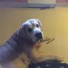 jonnahaar - @jonnahaar - TikTok