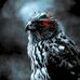 Jon Hack - Facebook